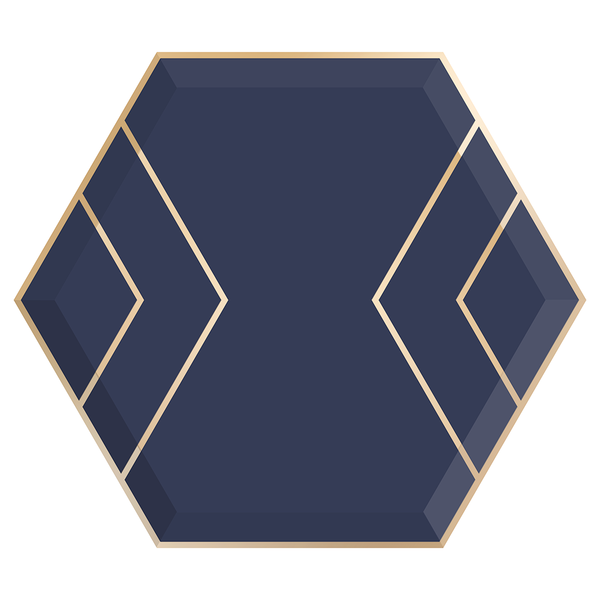 Paper Plates - Large - Navy & Gold