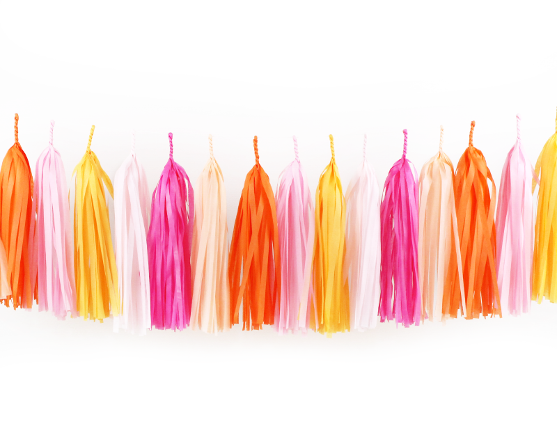 Tassel Garland Kit - Pink Grapefruit (Pink & Orange) – Paperboy