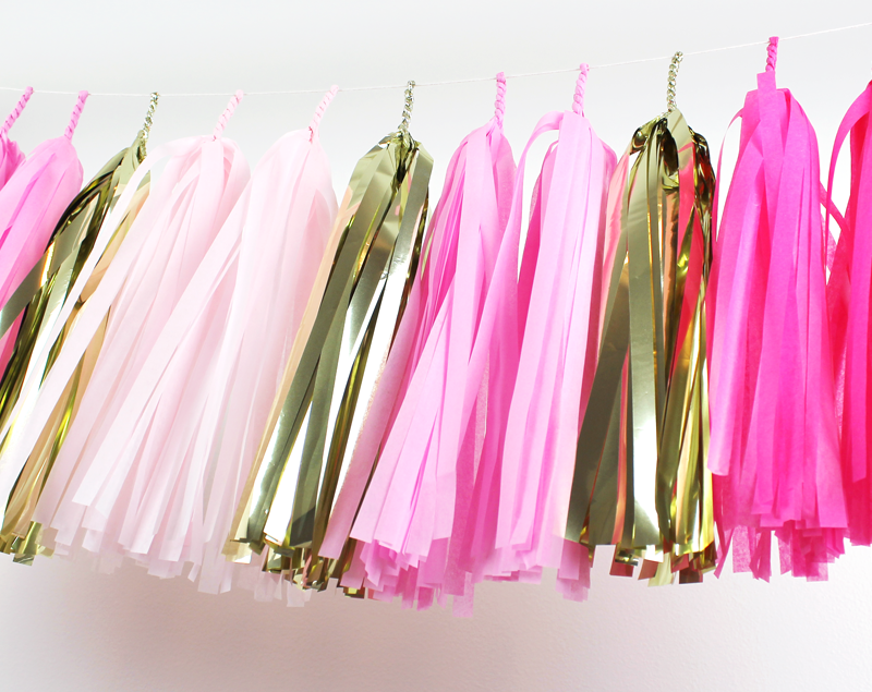 Pink Glam Fringe Tissue Tassel Garland Kit or Fully Assembled – Wants and  Wishes