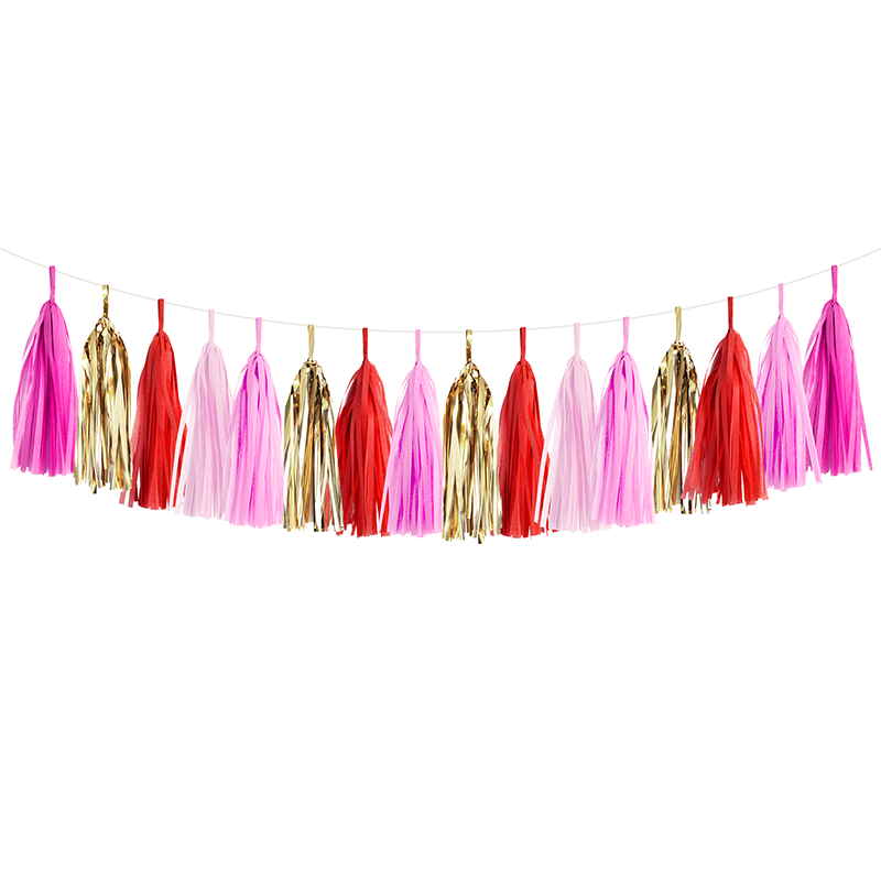 Pink Glam Fringe Tissue Tassel Garland Kit or Fully Assembled – Wants and  Wishes